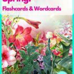 spring flashcards (1)